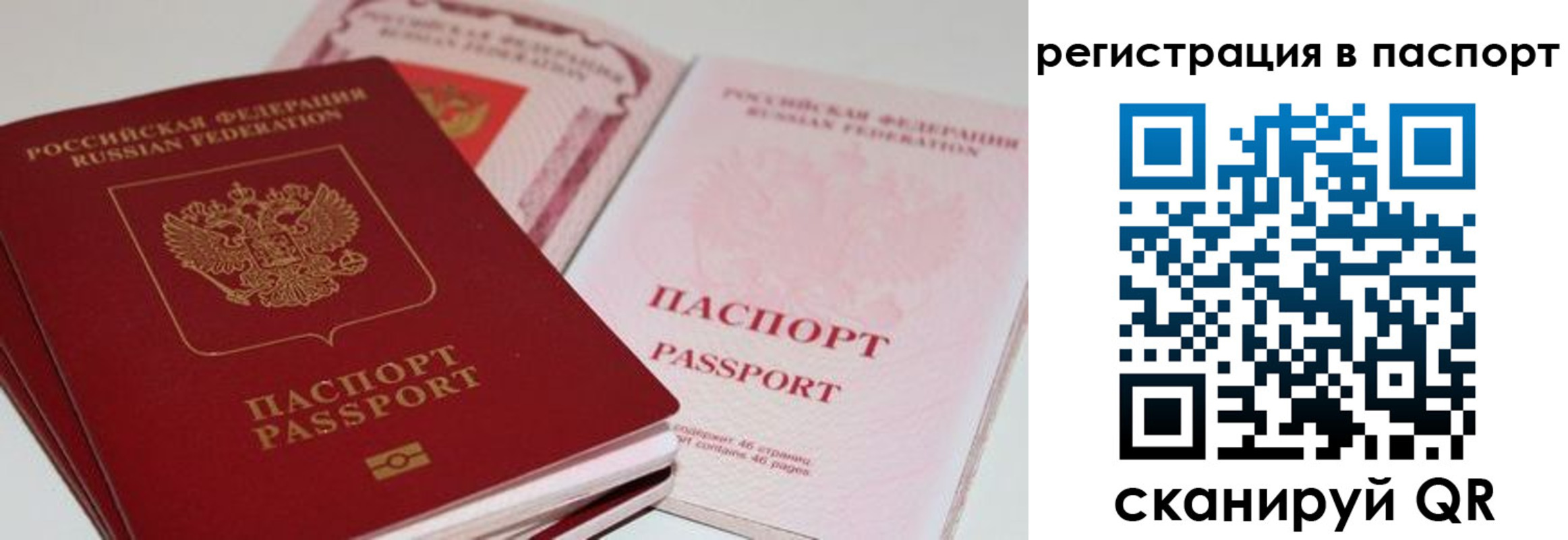 найти адрес прописки в Невеле